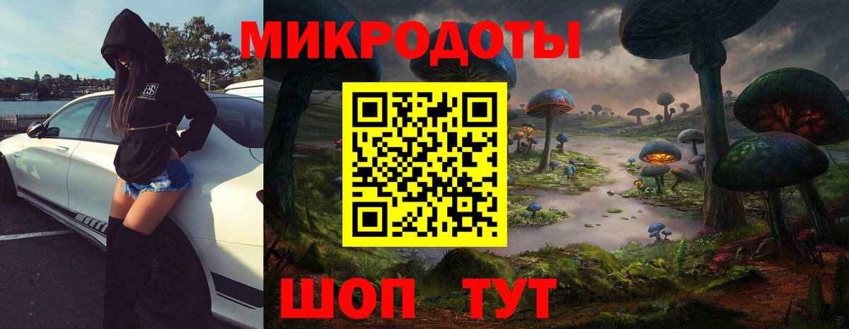 Киреевск  Псилоцибиновые грибы Psilocybe  Вход с VPN 
